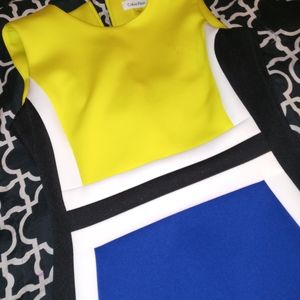 Calvin Klein Color Block Dress